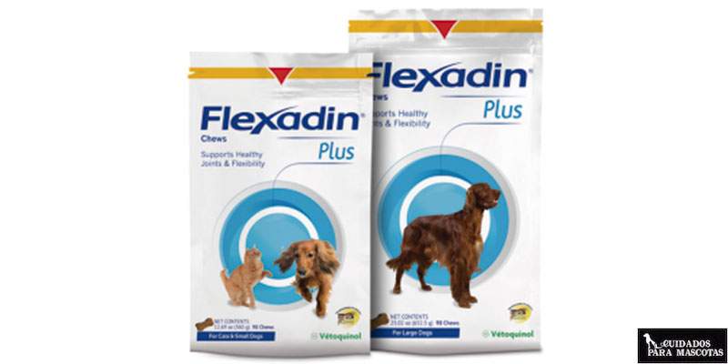 Flexadin Plus es un excelente condroprotector para perros