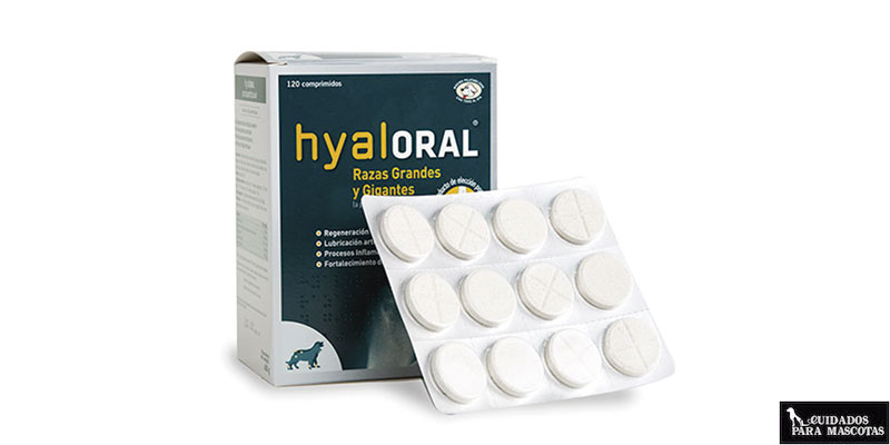 Hyaloral, un condroprotector para perros clínicamente probado