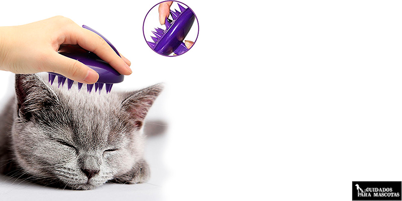 Cepillo de silicona para gatos