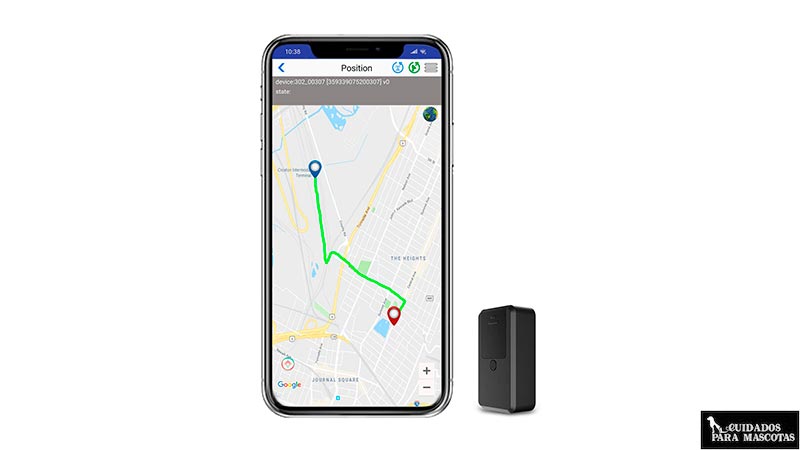 GPS con app para smartphone