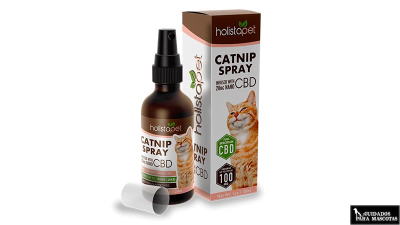 Spray de catnip para gatos
