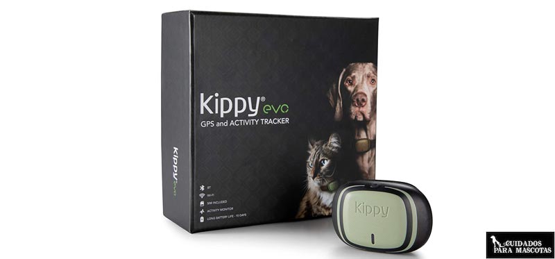 Kippy EVO GPS para perros