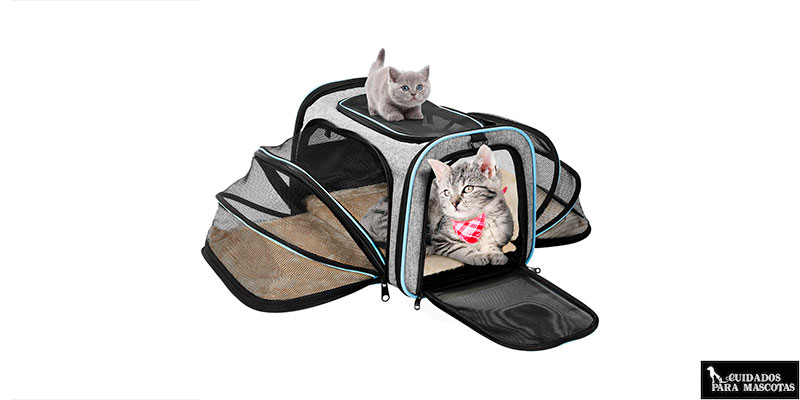 Transportines de tela para gatos